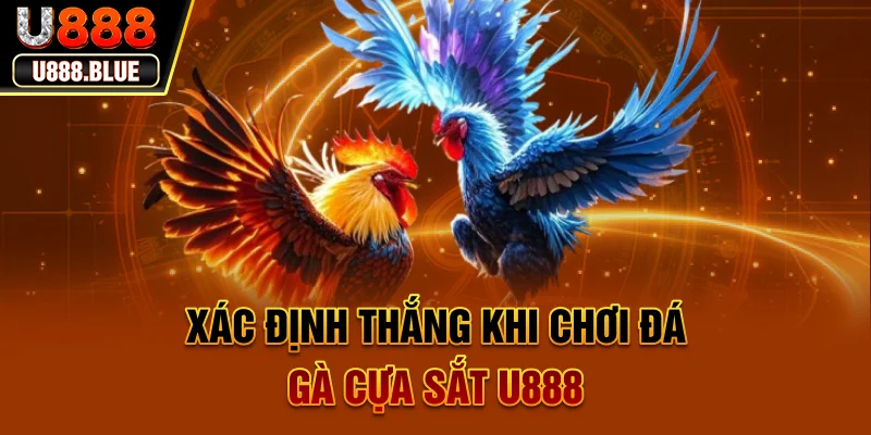 Xác định thắng khi chơi đá gà cựa sắt U888