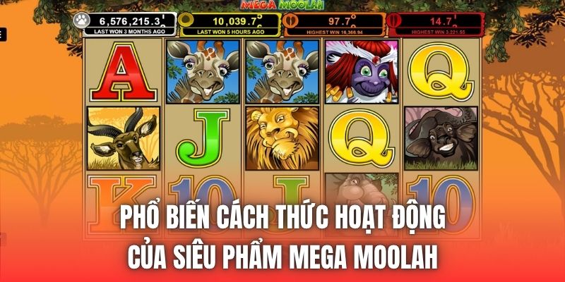 Phổ biến cách thức hoạt động của siêu phẩm Mega Moolah