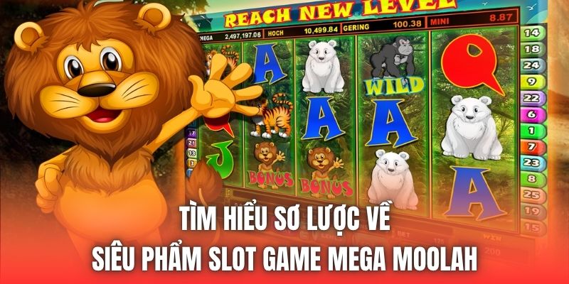 Tìm hiểu sơ lược về siêu phẩm slot game Mega Moolah